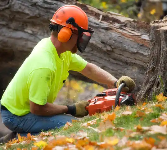 tree services Napoleonville